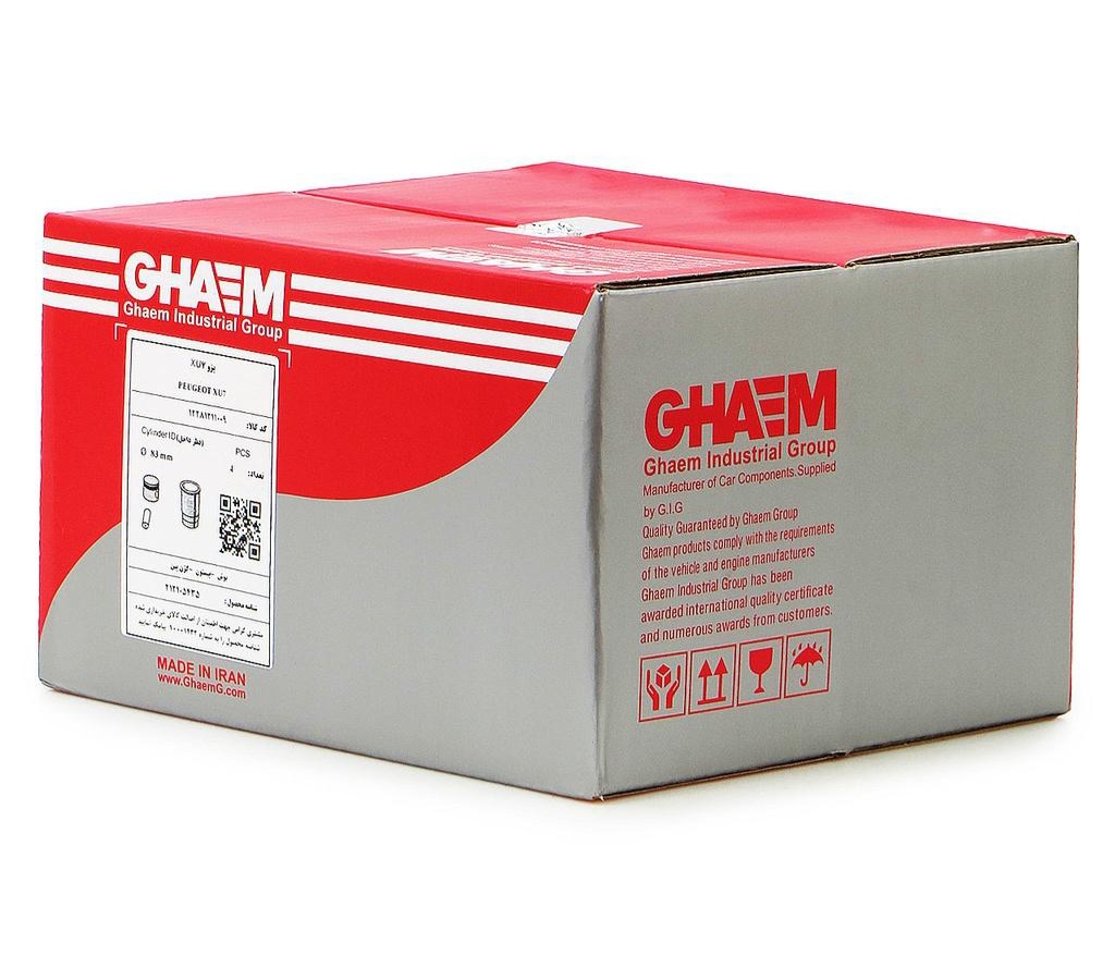 بوش و پیستون پژو 405 (طرح قدیم) قائم