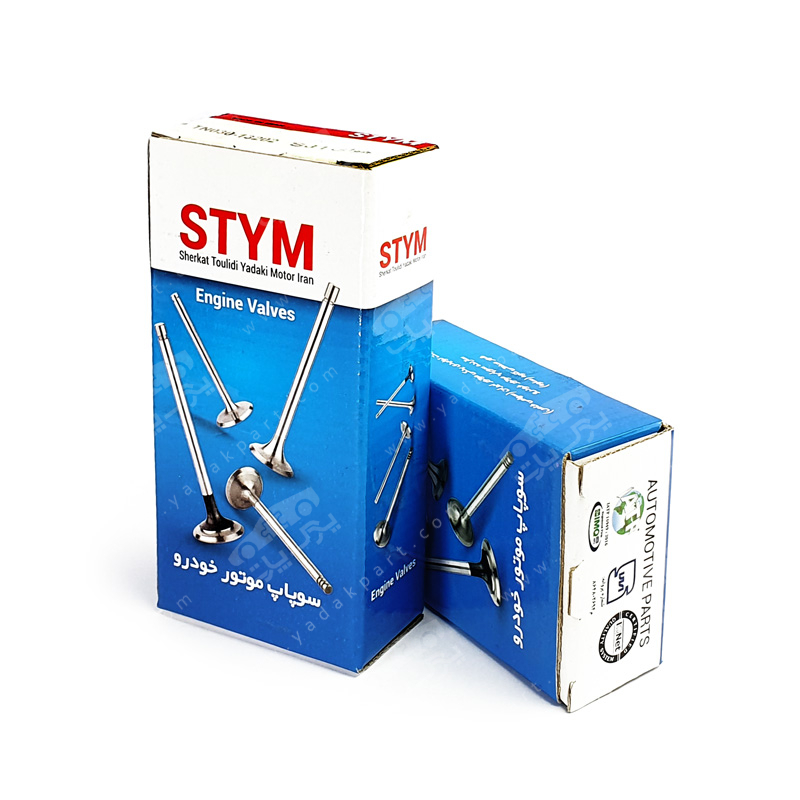 سوپاپ دود و هوا تیبا شرکتی ساوه STYM