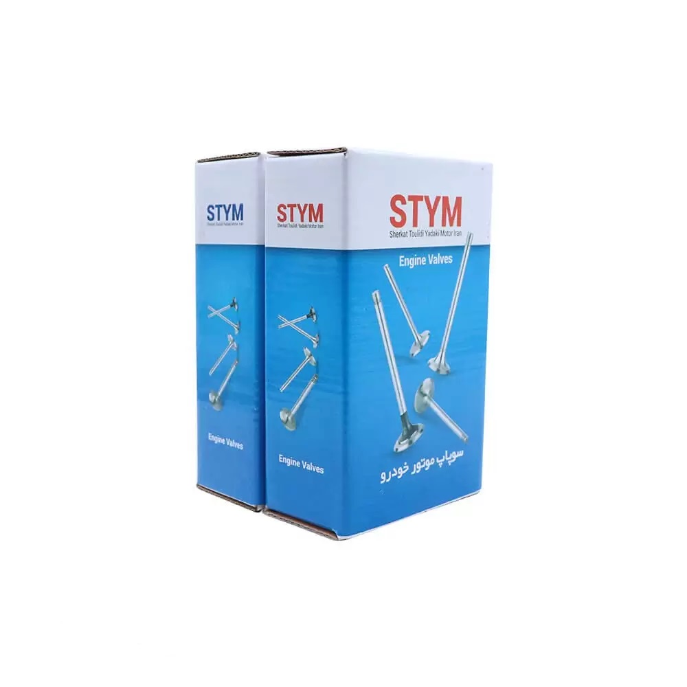سوپاپ دود و هوا روآ سال شرکتی ساوه STYM